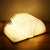 Luminight - 360° LED Book Lamp